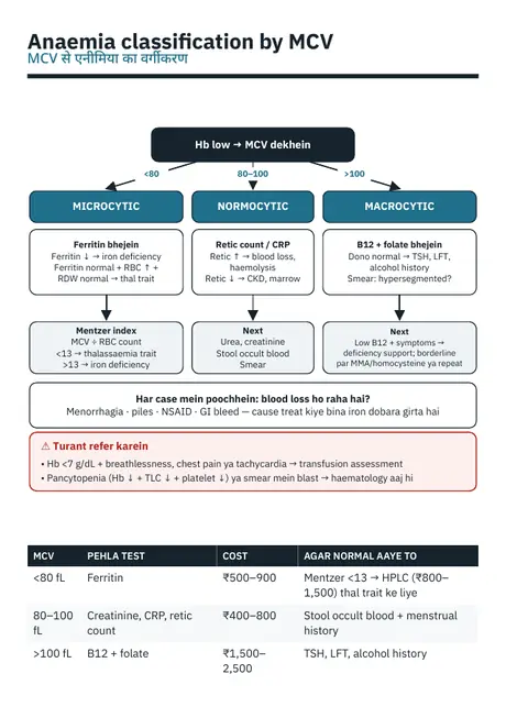 Anaemia classification by MCV — sample page from Lab Report Decoded Vol 1