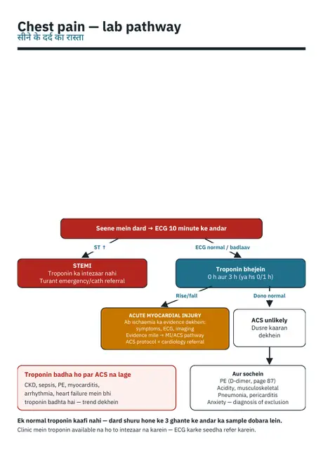 Chest pain — lab pathway — sample page from Lab Report Decoded Vol 1